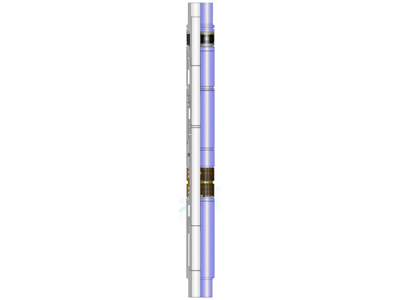 SHP型高温高压生产封隔器